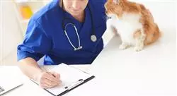 diplomado recursos humanos en centros veterinarios