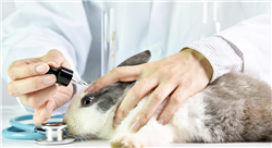 diplomado online legislación aplicable a ensayo clínico veterinario