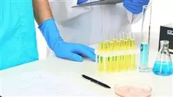 ##IMAGE##