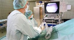 especializacion online manejo clínico de complicaciones en anestesia de especies mayores
