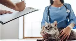 formacion aspectos legales y administración en los centros veterinarios