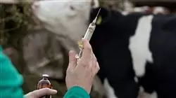 ##IMAGE##