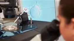 ##IMAGE##