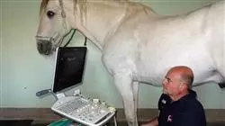 ##IMAGE##