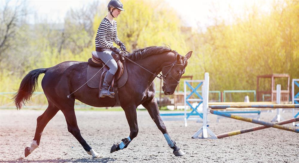 diplomado ejercicio terapéutico en el caballo