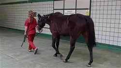 ##IMAGE##