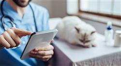 maestria mba en dirección y gestión de centros veterinarios