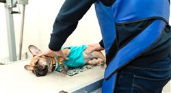 curso diagnostico imagen dental Tech Universidad