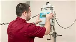 diplomado online diagnostico imagen odontologico veterinario