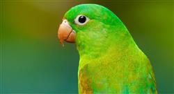 curso mantenimiento requisitos Tech Universidad