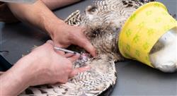 experto mantenimiento requisitos Tech Universidad