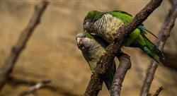 experto universitario mantenimiento requisitos Tech Universidad