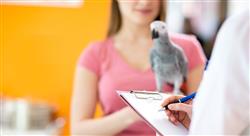 posgrado mantenimiento requisitos Tech Universidad