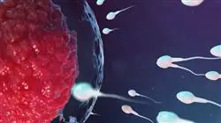 ##IMAGE##