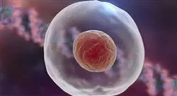diplomado transferencia de embriones en hembras
