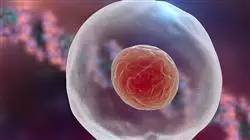 ##IMAGE##