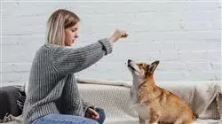 ##IMAGE##