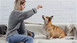 ##IMAGE##