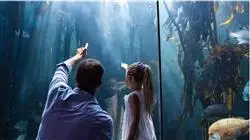 ##IMAGE##