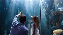##IMAGE##