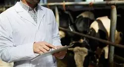 diplomado online bienestar animal en establecimientos ganaderos porcino vacunos y aves