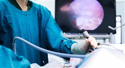 curso endoscopia del aparato respiratorio en pequeños animales