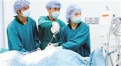 diplomado endoscopia del aparato respiratorio en pequeños animales