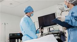formacion endoscopia del aparato urogenital en pequeños animales