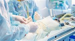 especializacion online laparoscopia y toracoscopia en pequeños animales