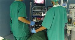 experto laparoscopia toracoscopia pequenos animales3