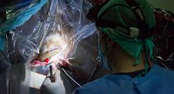 master medicina cirugia rumiantes