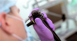 curso endoscopia digestiva en pequeños animales