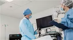 especializacion endoscopia digestiva respiratoria y del aparato urogenital en pequeños animales