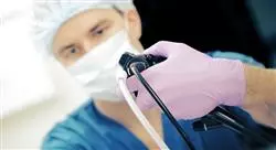 estudiar endoscopia digestiva respiratoria y del aparato urogenital en pequeños animales
