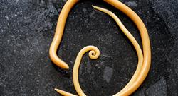 formacion diagnostico laboratorial citologico enfermedades Tech Universidad