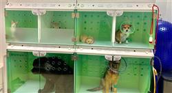 estudiar farmacologia veterinaria terapias Tech Universidad