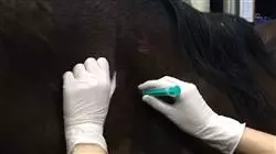 ##IMAGE##