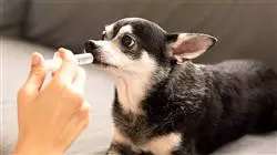 ##IMAGE##