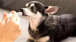 ##IMAGE##