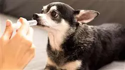 ##IMAGE##