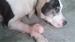 ##IMAGE##