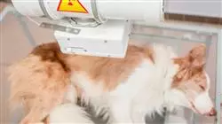 ##IMAGE##