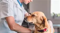 ##IMAGE##