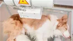 ##IMAGE##