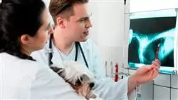 ##IMAGE##