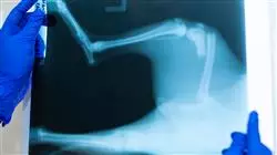 ##IMAGE##