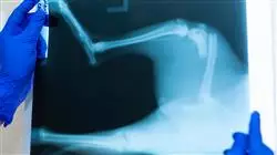 ##IMAGE##