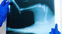 ##IMAGE##