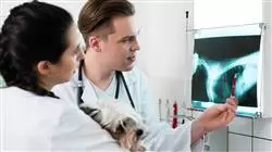 ##IMAGE##