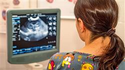 experto ecografia abdominal pequenos animales